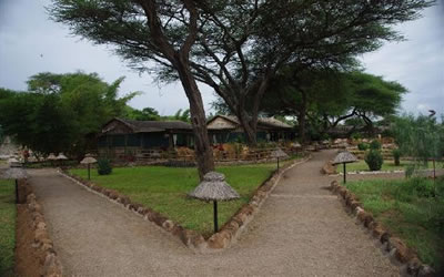  Kibo Safari Camp   