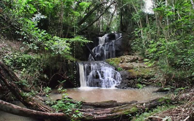  Karura Forest 