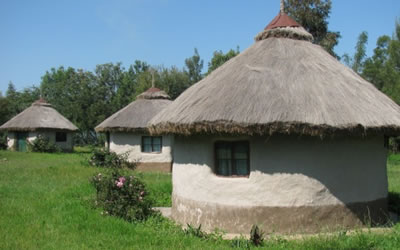  Pigrims Resort Nakuru   