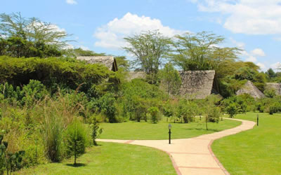   Ziwa Bush Lodge   