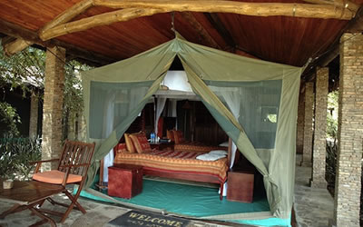  Fig Tree Camp   