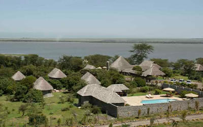  Pelican Lodge  
