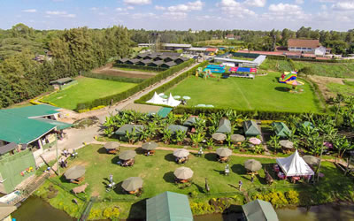  Stedmark Gardens  